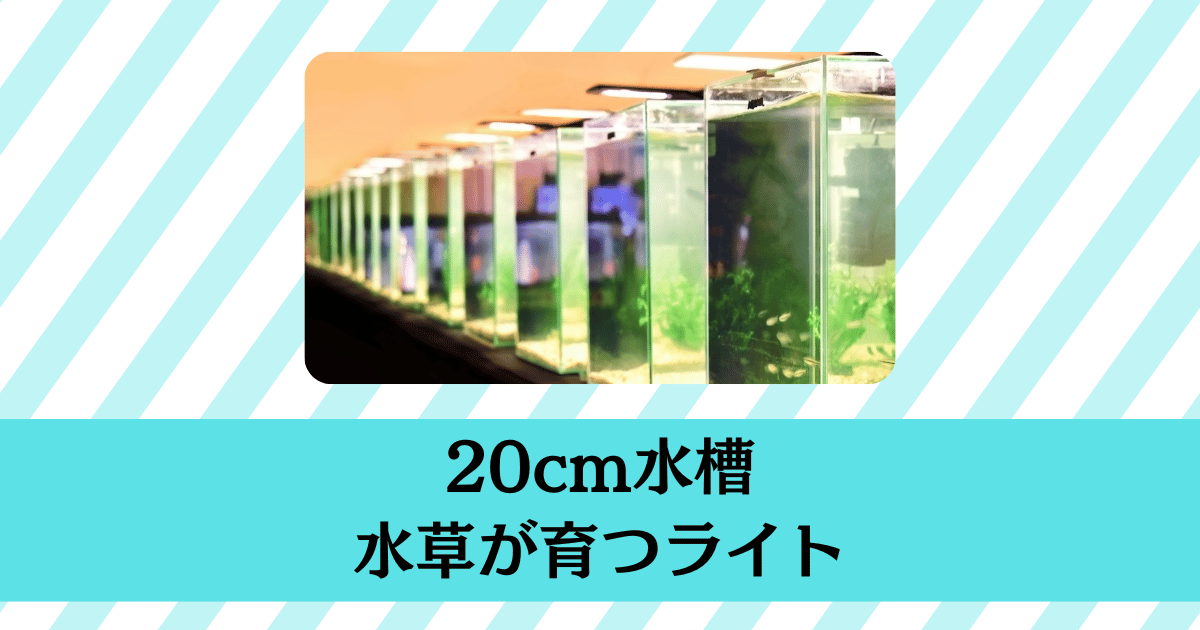 20cm水槽ライト