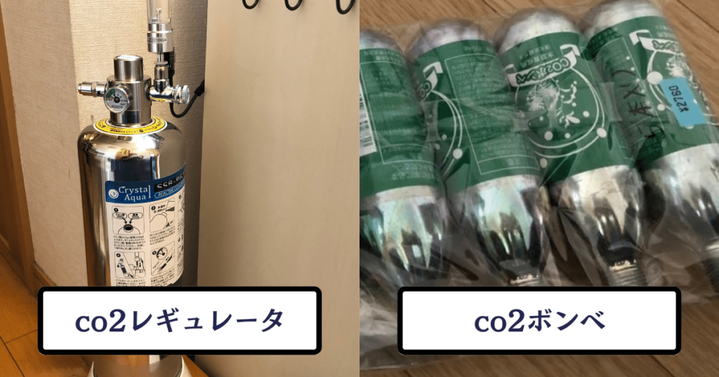 水草の育成に影響するco2