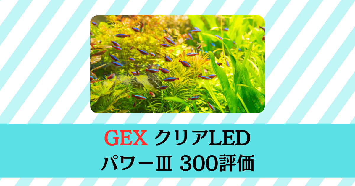 GEX クリアLEDパワー3 300で水草は育つ？レビュー評価