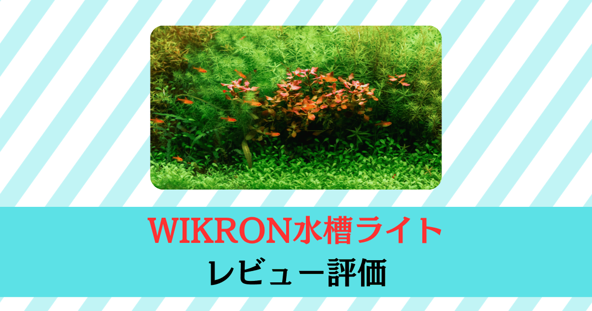 WIKRON水槽ライトレビュー評価