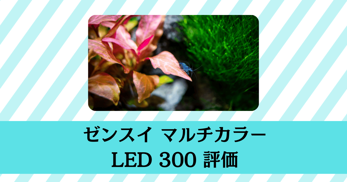 ゼンスイマルチカラーLED 300の評価｜水草は育つ？ | アクアリウム