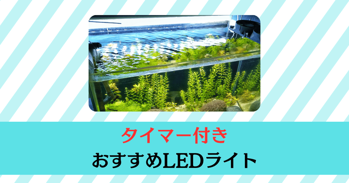 タイマー付き水槽LEDライトおすすめランキング | アクアリウムブログ